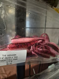 THE ASSASIN 2.8" PADDLE TAIL SWIM BAIT