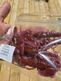 THE CAPO 3.5 "CRAWFISH